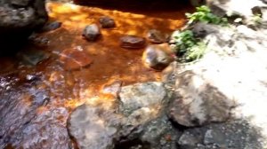 Нарзан в долине Нахар, Карачаево-Черкесия / Mineral spring, Caucasus, Karachay-Cherkesia