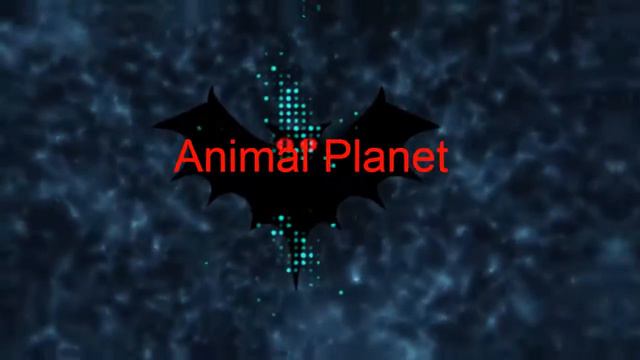 INTRO смотреть онлайн