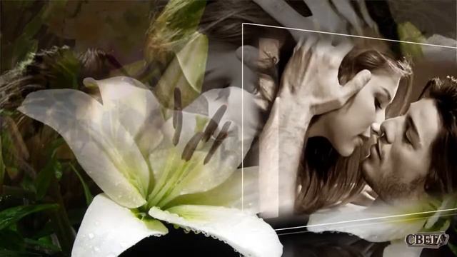 Виктор Королев - Лилия - Монтаж Светлана Левина смотреть онлайн