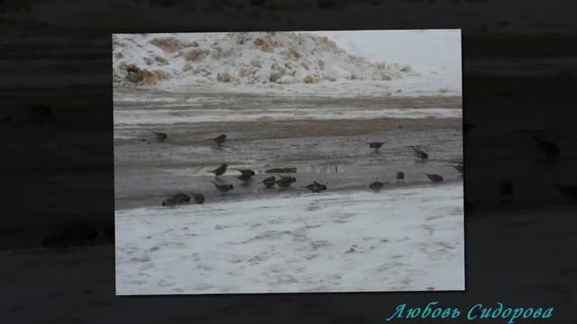 Село моё родное смотреть онлайн