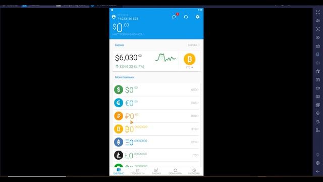 Payeer регистрация с телефона. Обзор кабинета смотреть онлайн