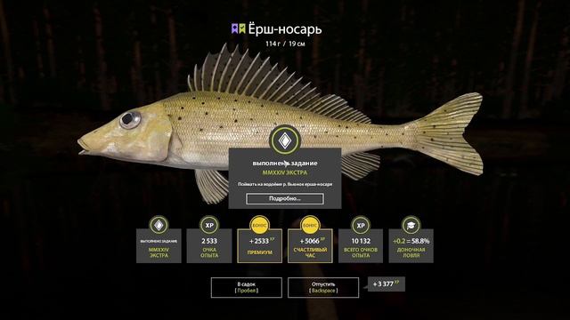 Русская рыбалка 4. Река Вьюнок. Ёрш-носарь. Новогодние задания 2023. смотреть онлайн