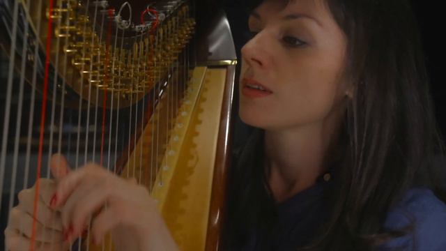 La vie en rose - Ensemble Diversité смотреть онлайн