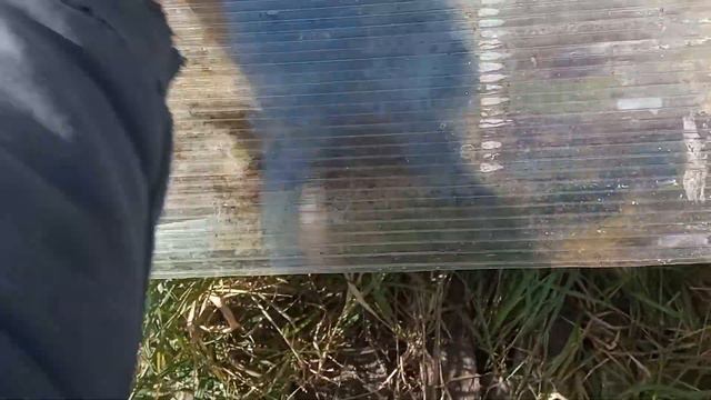 8.09.2023 Проверяем после обработки осыпь клеща смотреть онлайн