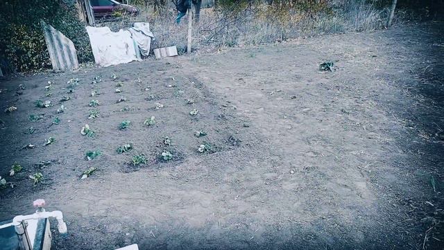 подготовка дачи к зиме