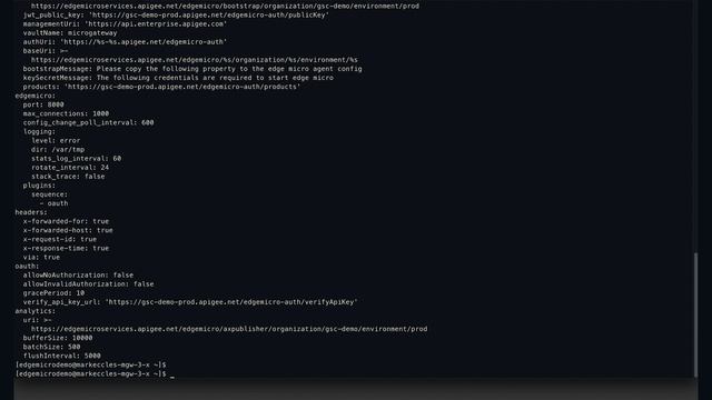 Edge Microgateway Module - CLI Configuration Process смотреть онлайн