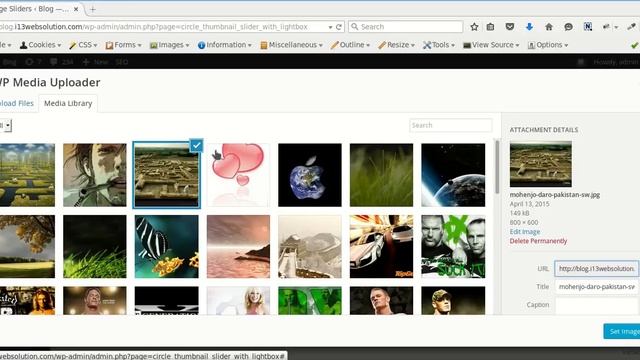 WordPress Circle Gallery смотреть онлайн