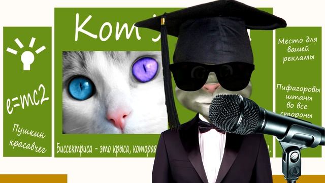 Факт Сколько цветов различают кошки смотреть онлайн