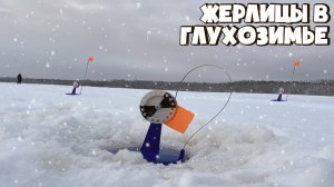 ЛОВЛЯ ЩУКИ НА ЖЕРЛИЦЫ В ГЛУХОЗИМЬЕ! ЩУКА НА ЖИВЦА