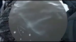 Новое зарыбление щукой и судаком