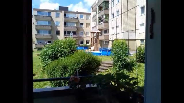 сырный суп (Käsesuppe ) //пришла жара смотреть онлайн