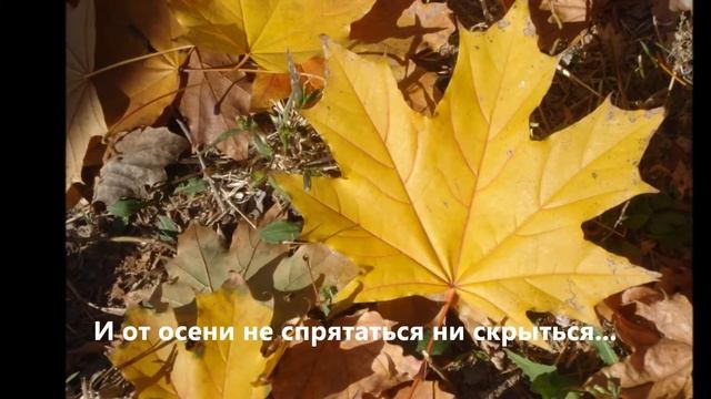 Осень...- очей очарованье! 2014 смотреть онлайн