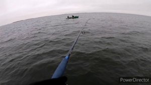 Судаки выбивают спиннинг из рук! Рыбалка на Волге перед ледоставом. Два трофея.