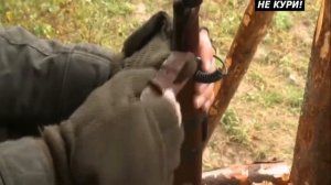 Охота на медведя на овсах. Охота на медведя . 2018