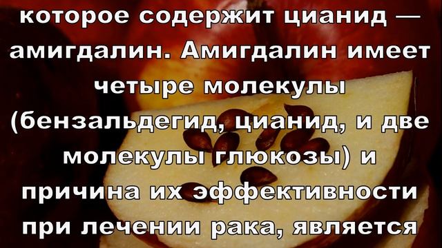 Медицина в течении многих лет молчит о лечении рака этими семечками смотреть онлайн