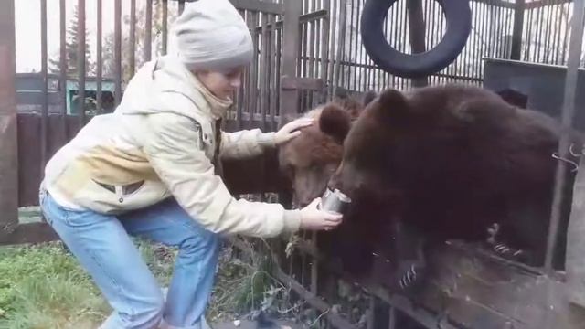 Медвежата кушают смотреть онлайн