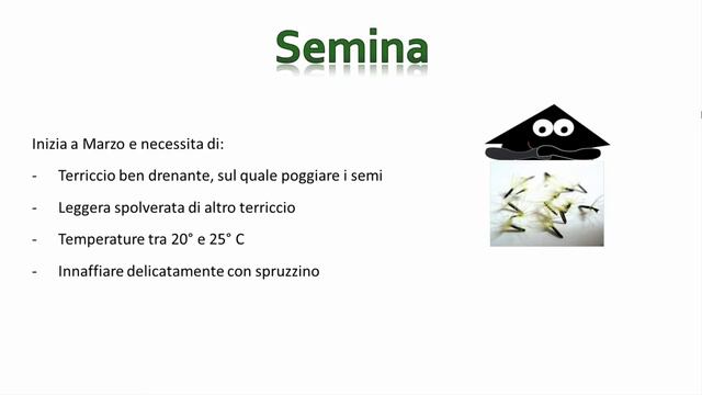 Stevia: come coltivarla e avere un super DOLCIFICANTE NATURALE nel tuo appartamento смотреть онлайн