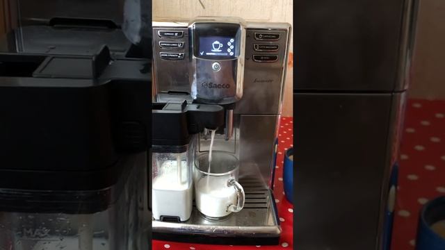 Saeco Incanto Cappuccino HD8917 приготовление Капучино
