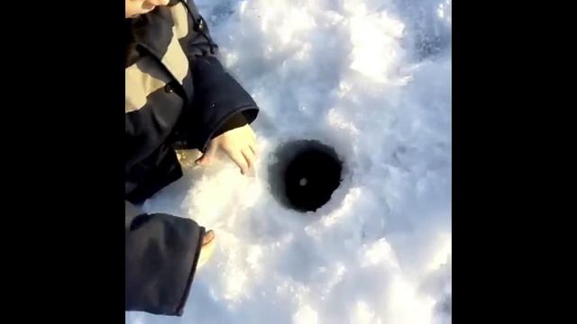 2.01.2018 пгт Махнево Рыбалка на забое на жерлицы смотреть онлайн