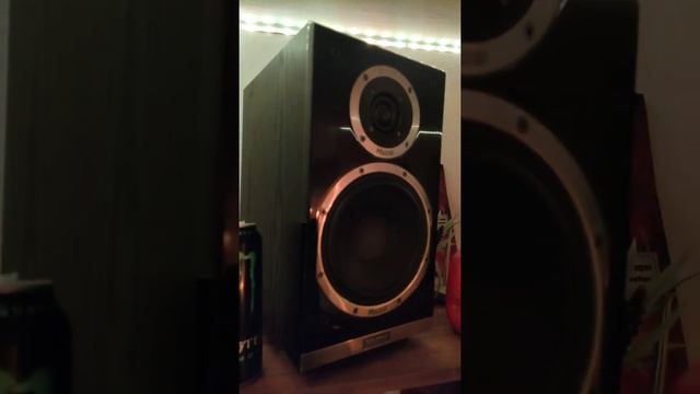 Magnat Shadow 203 смотреть онлайн