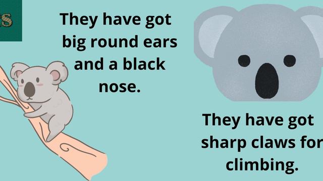 Koalas смотреть онлайн