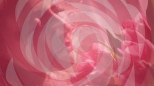 Поздравление с женским днём - 8 Марта