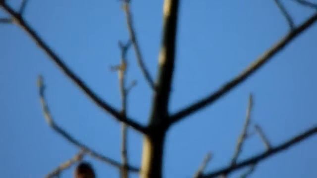 [Bem - Te - Vi] Sony Dsc H400 Teste [Edivan Ribeiro]