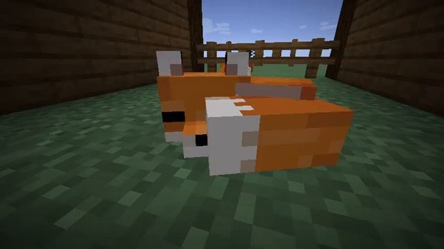 Minecraft Red Fox Sleeping For 7 Minutes смотреть онлайн