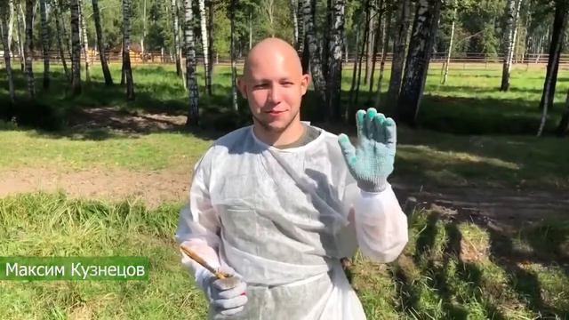 Лосиный остров. Волонтерство. 10.08.2020. Часть III смотреть онлайн