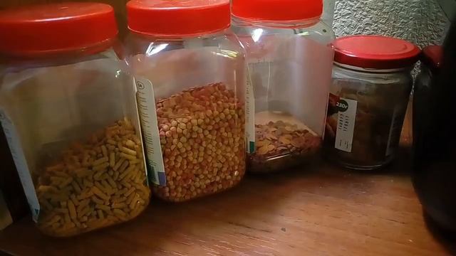 Что будет если не менять долго воду? Аквариум вид с зади смотреть онлайн