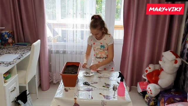 Посев семян огурцов и листьев салата на балконе 08.05.2020 смотреть онлайн