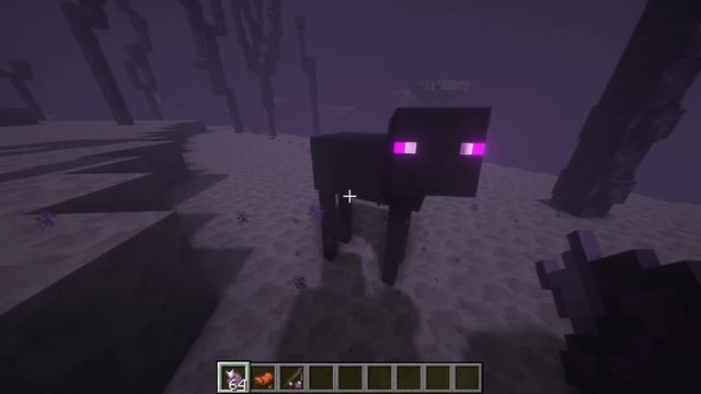 TOP 13 New & Amazing Underrated Mods for Forge and Fabric 1.16/1.17 | FeyWild, Blue Skies, Zombifie смотреть онлайн