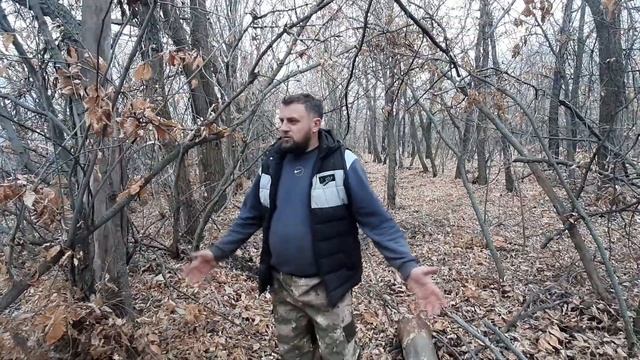 СБОР ВАЛЕЖНИКА ИЛИ ЗАГОТОВКА ДРОВ НА ЗИМУ, С ПОМОЩЬЮ БЕНЗОПИЛЫ CARVER PSG 45-15 смотреть онлайн