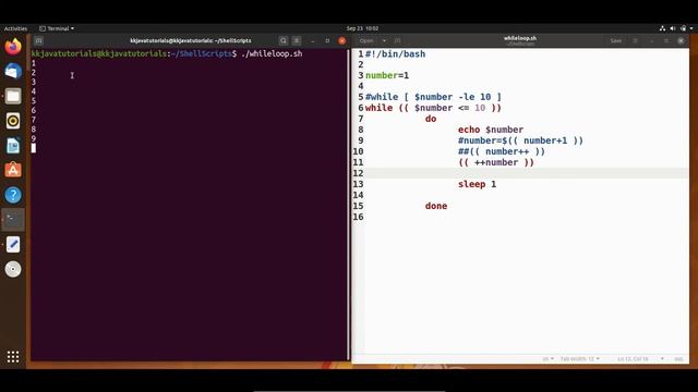 Shell Scripting Tutorial-17 Use of sleep command with While Loop|| Linux Interview Question смотреть онлайн