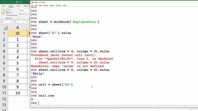 6 Working with Sheet Cells Using Python смотреть онлайн