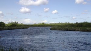 Иеромонах Роман. На реках Вавилонских («Это песня пленённых, гонимых врагом...»)