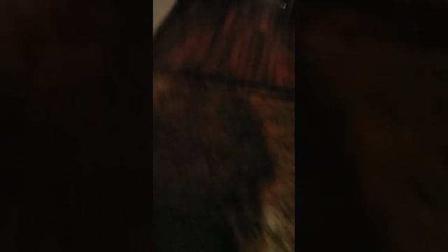 Видео с пьянки (чем ближе к концу, тем трешовее) смотреть онлайн