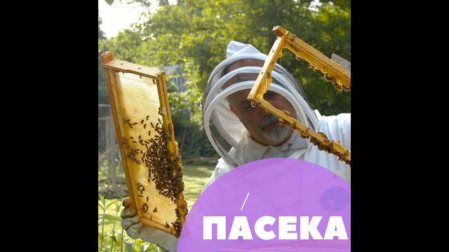 Russian language: words, pronunciation and examples. Number 30 смотреть онлайн