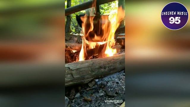 Валид Дагаев БЕЗ СЛЕЗ НЕВОЗМОЖНО СЛУШАТЬ ЭТУ ПЕСНЮ НАНА смотреть онлайн