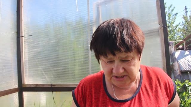 Юлия Миняева: Приступили к сбору урожая огурцов! Также важное про малину. смотреть онлайн