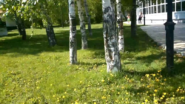 Камера Sony Xperia P без стаба (camera test, sample, w/o stab), Full HD, 1080p смотреть онлайн