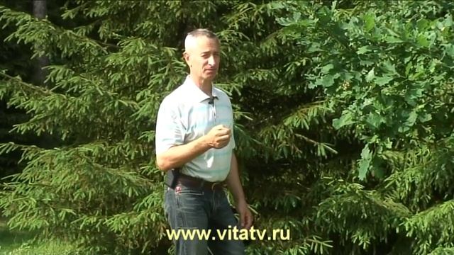 Пародонтоз. Лечение смотреть онлайн