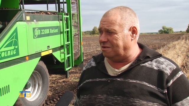 В ООО "Родина" убрали 30 процентов картофеля смотреть онлайн