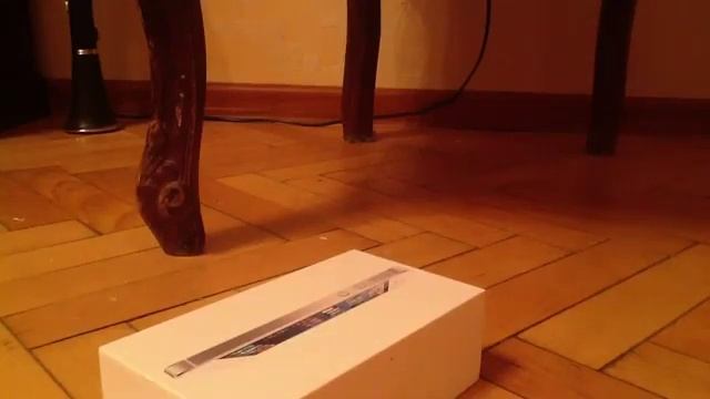 Какой у меня телефон - iPhone 5. смотреть онлайн