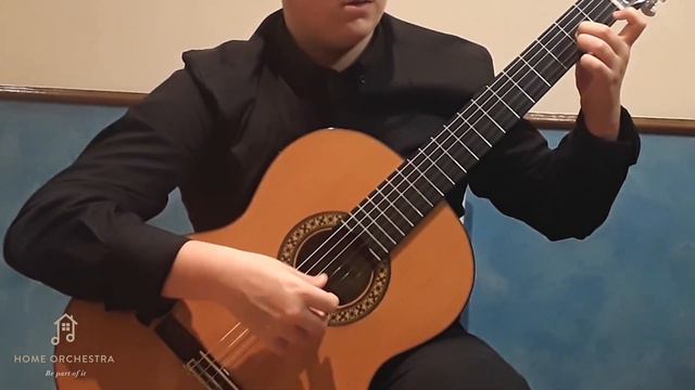 Beethoven "Moonlight Sonata" for guitar and orchestra смотреть онлайн