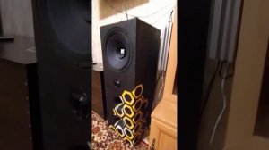 Небольшой обзор на АС НОЭМА 150 гдш. Домашка своими руками. Эстрадные динамики, громко и качественн