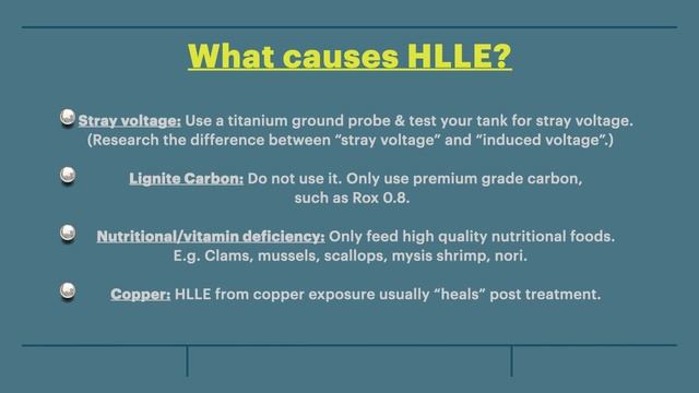 HLLE (Head & Lateral Line Erosion) смотреть онлайн