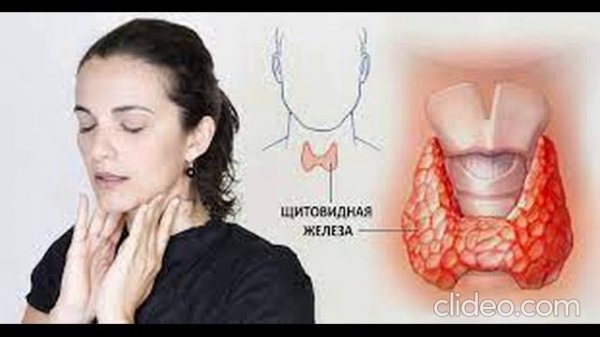Психосоматика щитовидной железы