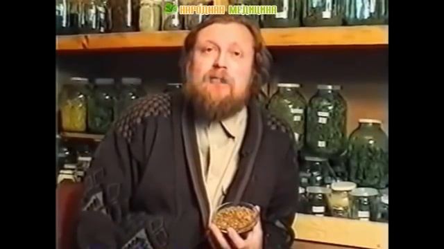 Дуб обыкновенный Польза смотреть онлайн