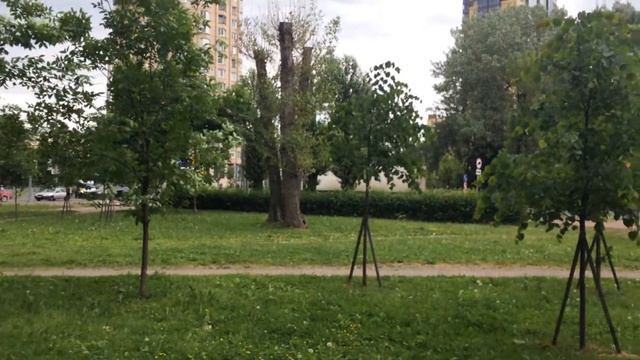 СПб ул Седова д 49 1 эт смотреть онлайн